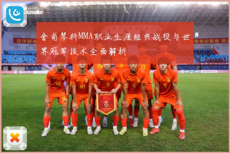 舍甫琴科MMA职业生涯经典战役与世界冠军技术全面解析