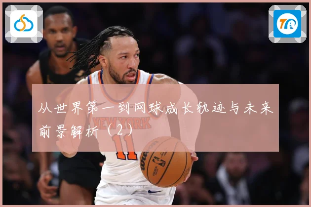 从世界第一到网球成长轨迹与未来前景解析（2）