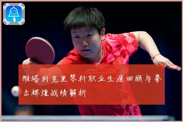 维塔利克里琴科职业生涯回顾与拳击辉煌战绩解析