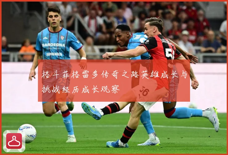 格斗菲格雷多传奇之路英雄成长与挑战经历成长观察