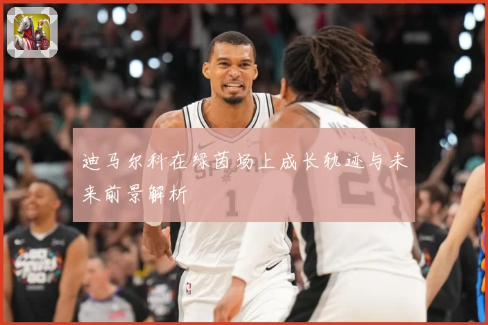 迪马尔科在绿茵场上成长轨迹与未来前景解析