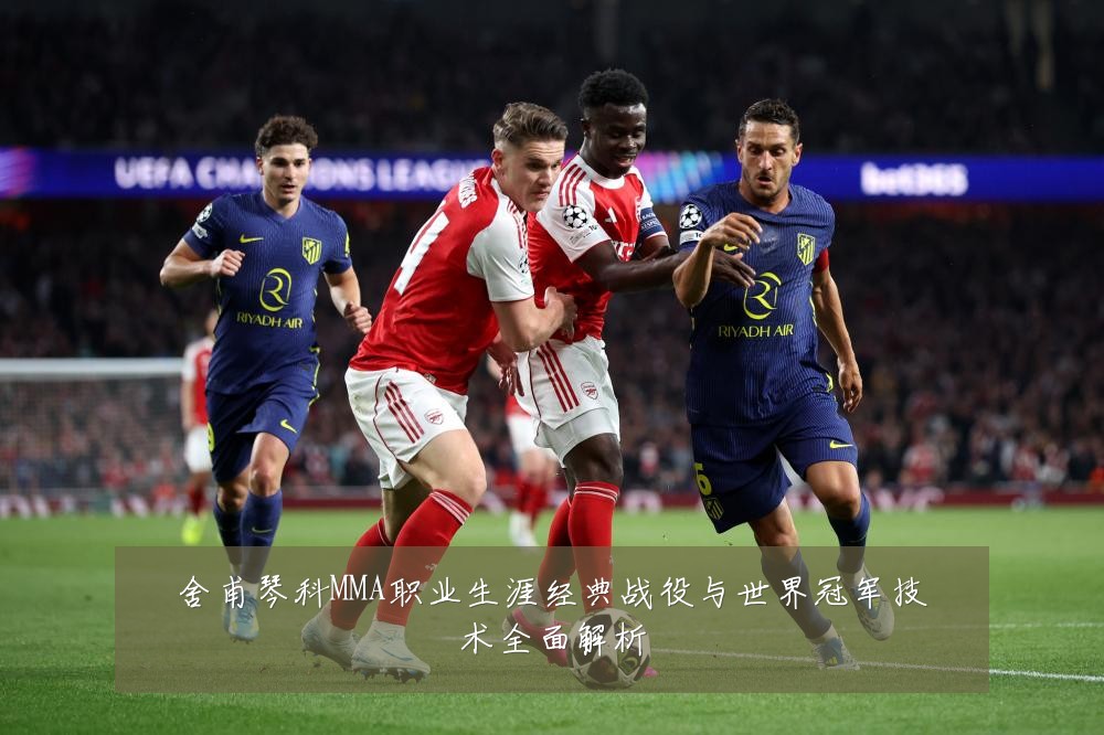 舍甫琴科MMA职业生涯经典战役与世界冠军技术全面解析